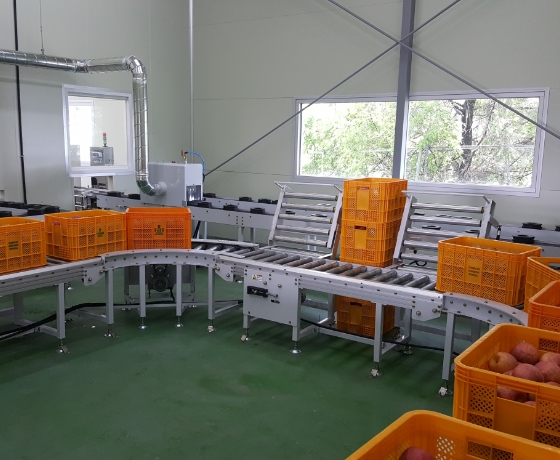 Pre-Tray Type Process