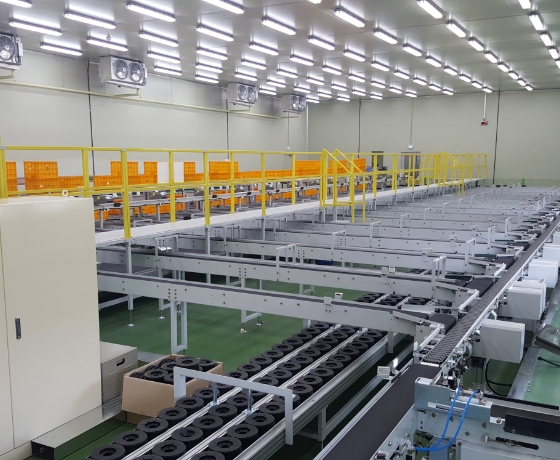 Pre-Tray Type Process