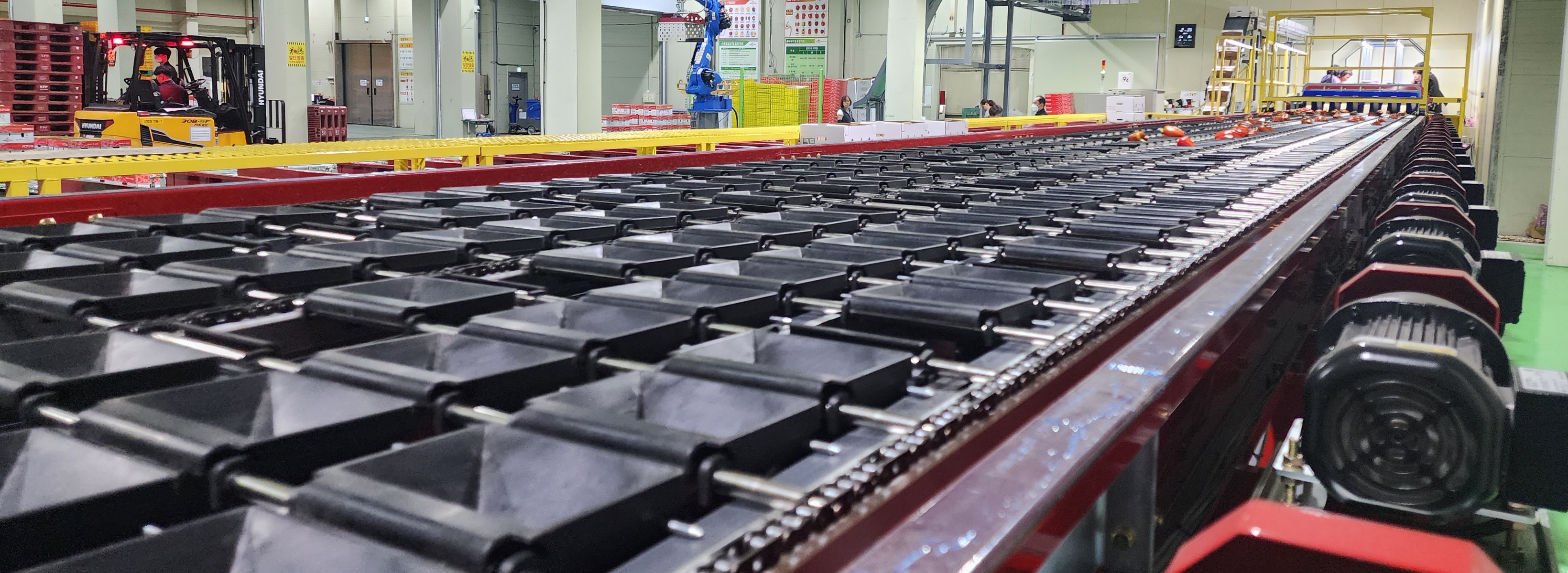 Electronic Weight Sorting Line