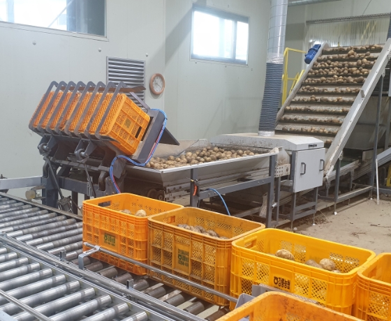 Downward Discharge Process