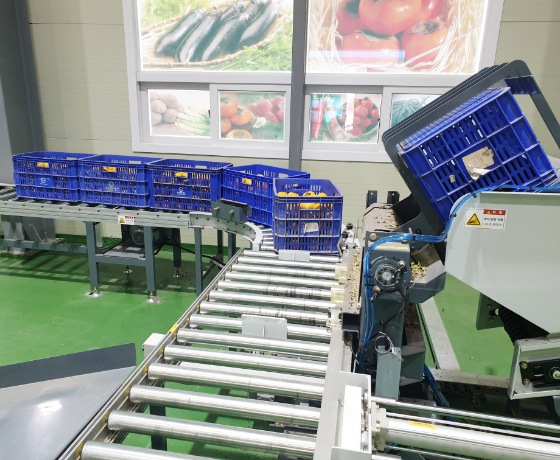 Potato Sorting Process