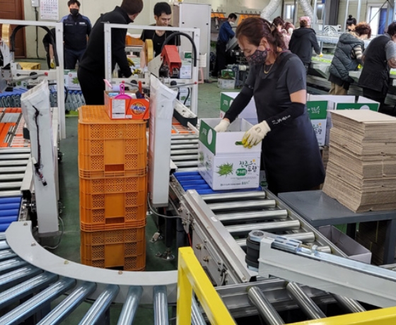 Sorting Process