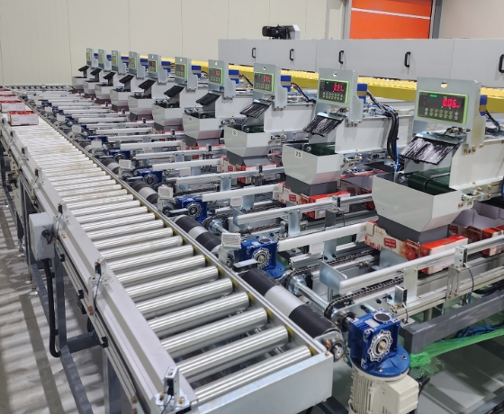 Cherry Tomato Sorting Process